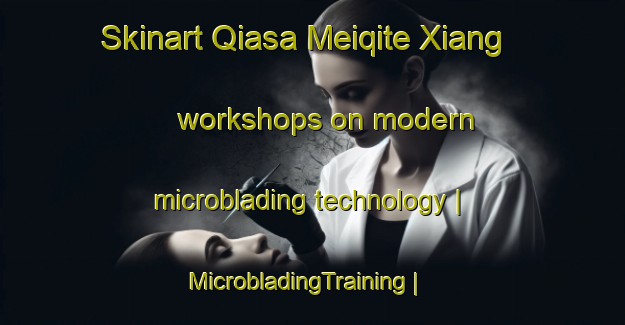 Skinart Qiasa Meiqite Xiang workshops on modern microblading technology | MicrobladingTraining | MicrobladingClasses | SkinartTraining-China